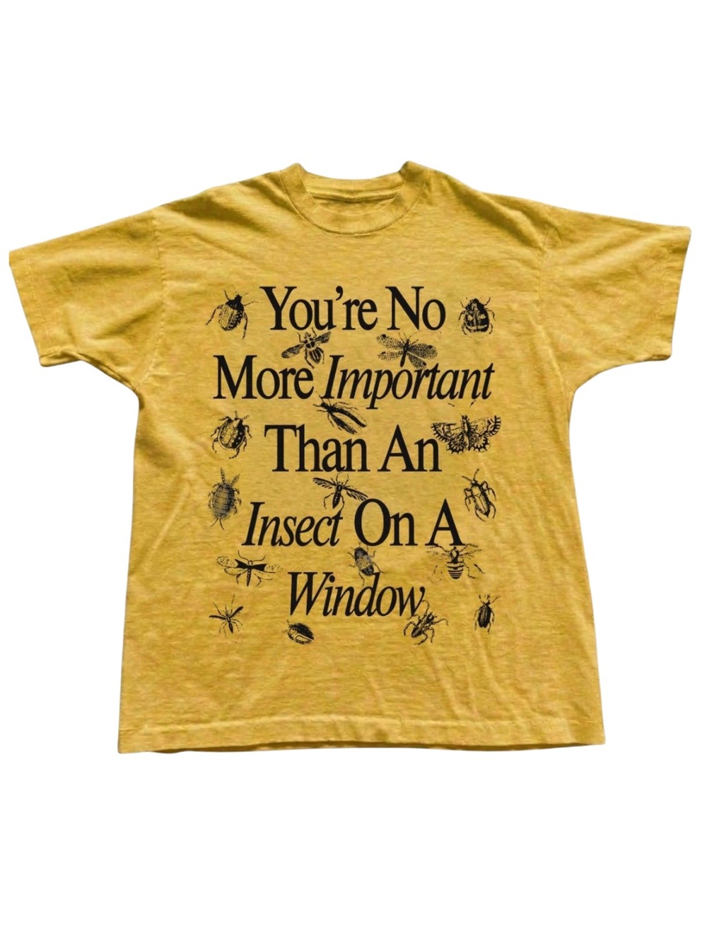 Yellow Graphic T-Shirt - 'You're No More Important'